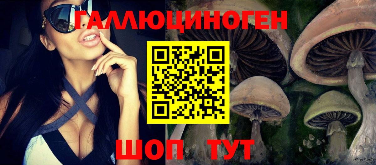 Псилоцибиновые грибы Magic Shrooms  Галлюциногенные грибы мицелий  Вход с VPN  как найти закладки  Алапаевск 